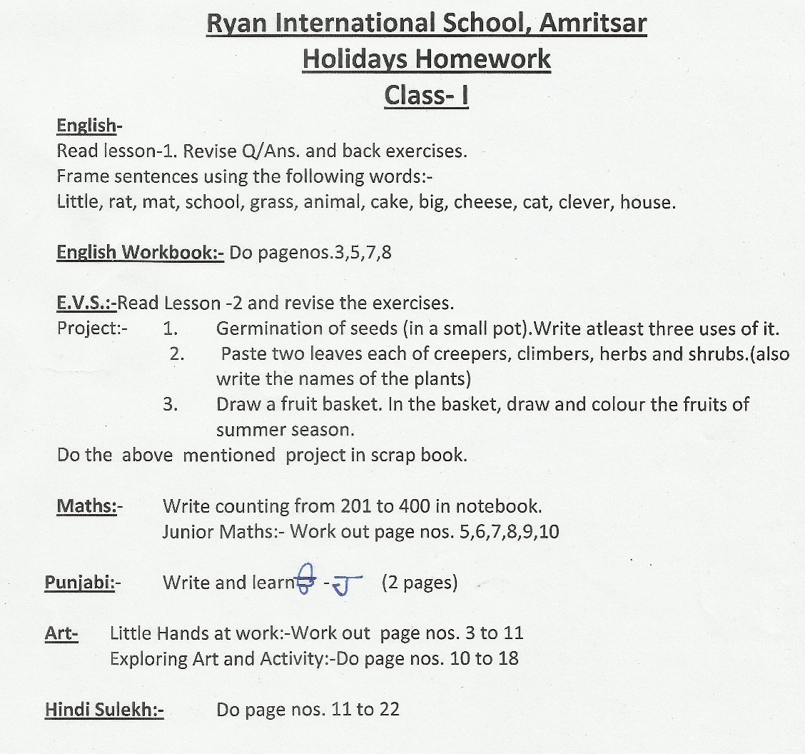 ryan school holiday homework